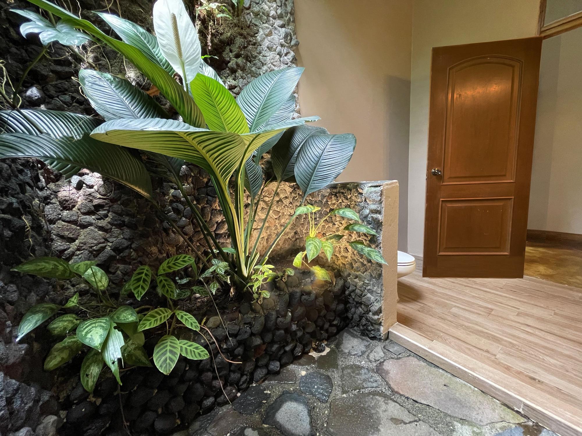 罗斯特伊古安娜度假酒店和Spa La Fortuna 外观 照片