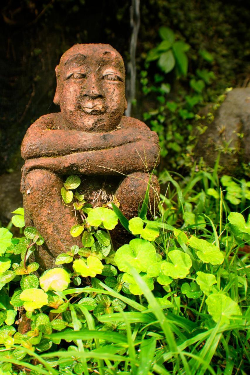 罗斯特伊古安娜度假酒店和Spa La Fortuna 外观 照片